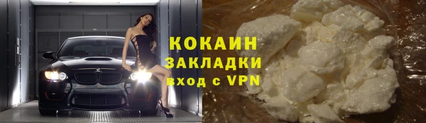 a pvp Бородино