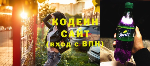 a pvp Бородино